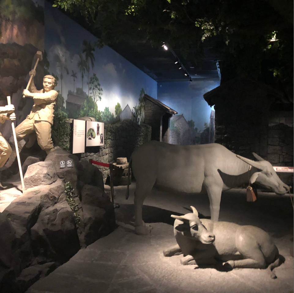  音乐学院组织学生赴海南省博物馆参观