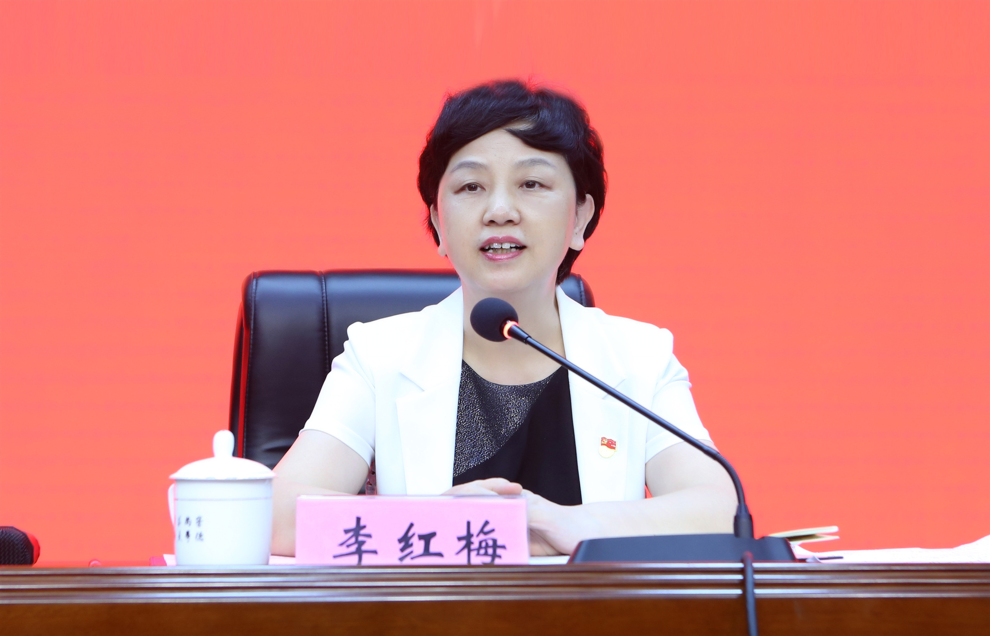 李红梅强调：弘扬革命传统,牢记初心使命，扛起教育担当