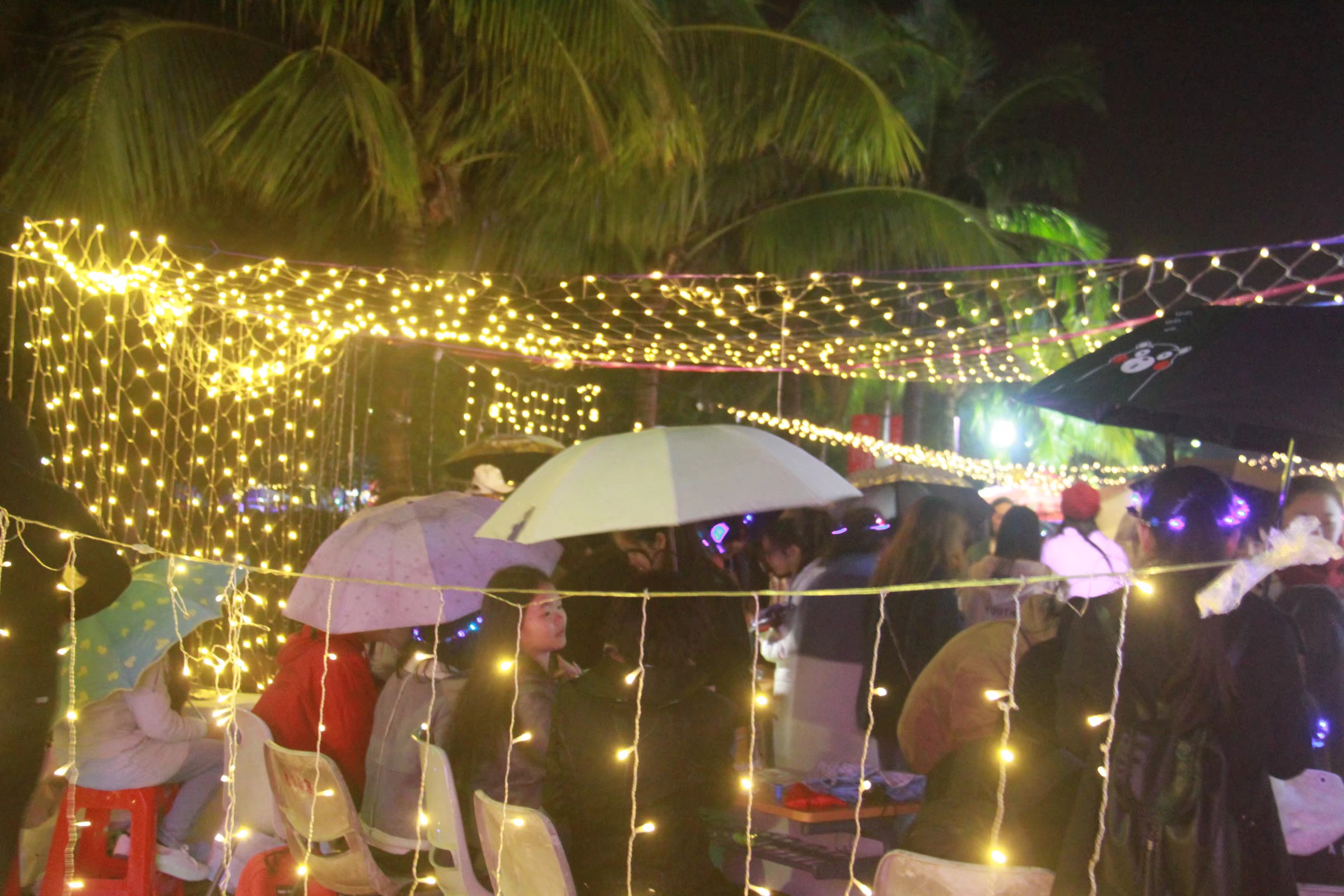 青年之声・相约大马院，携手元旦游园