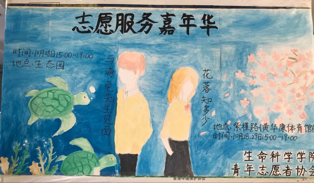 青年之声・志愿者嘉年华，放飞新梦想