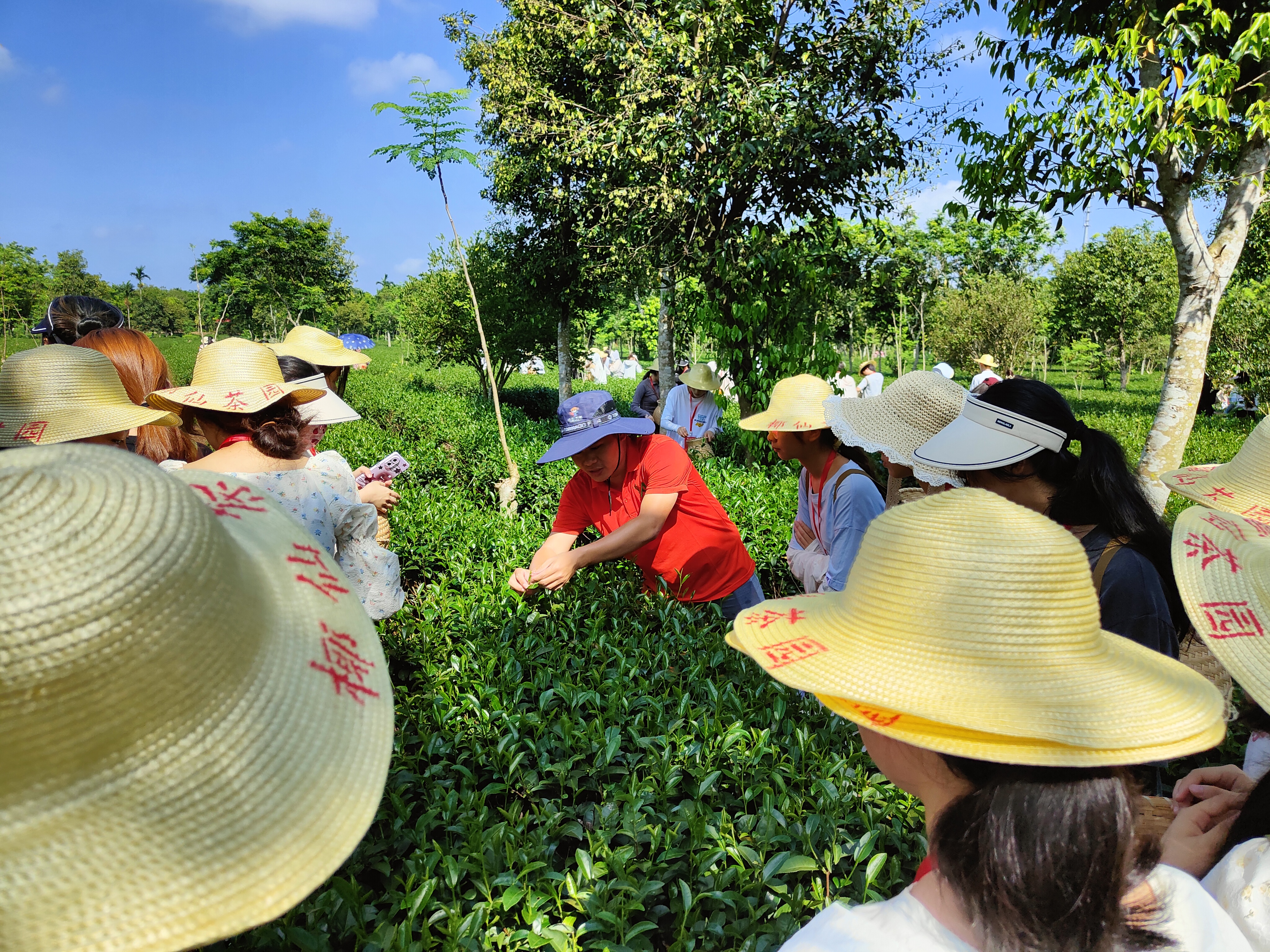 星空游戏官方开展青年红色筑梦之旅活动