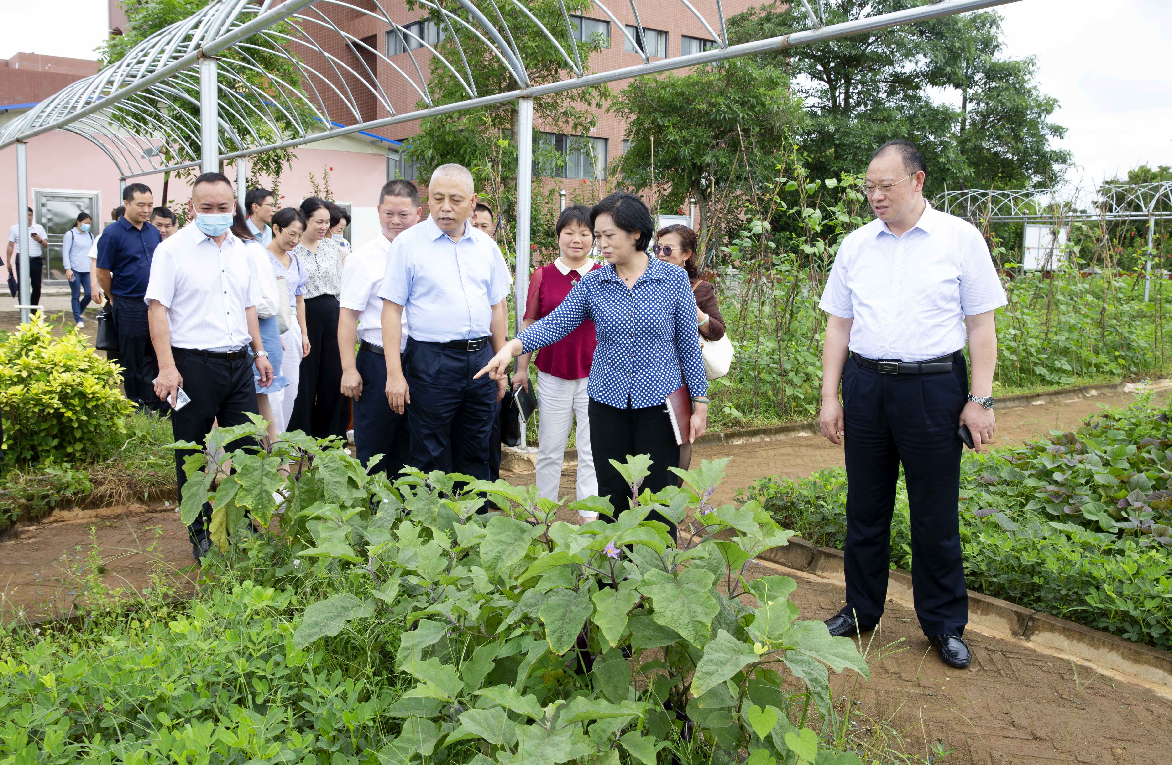 过建春一行到海南省教师教育改革与创新实验区（定安）调研并开展访企拓岗促就业