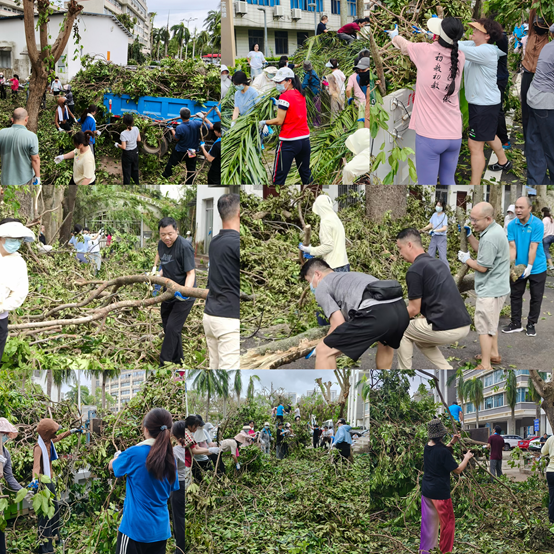 “携手并肩,共筑美好校园” ――初等教育学院师生积极投身台风“摩羯”灾后恢复行动