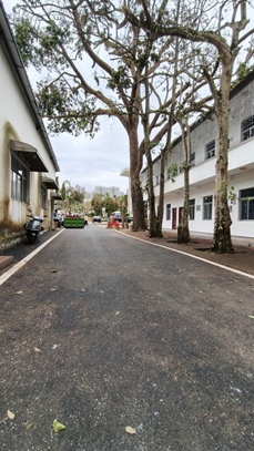 “携手并肩,共筑美好校园” ――初等教育学院师生积极投身台风“摩羯”灾后恢复行动