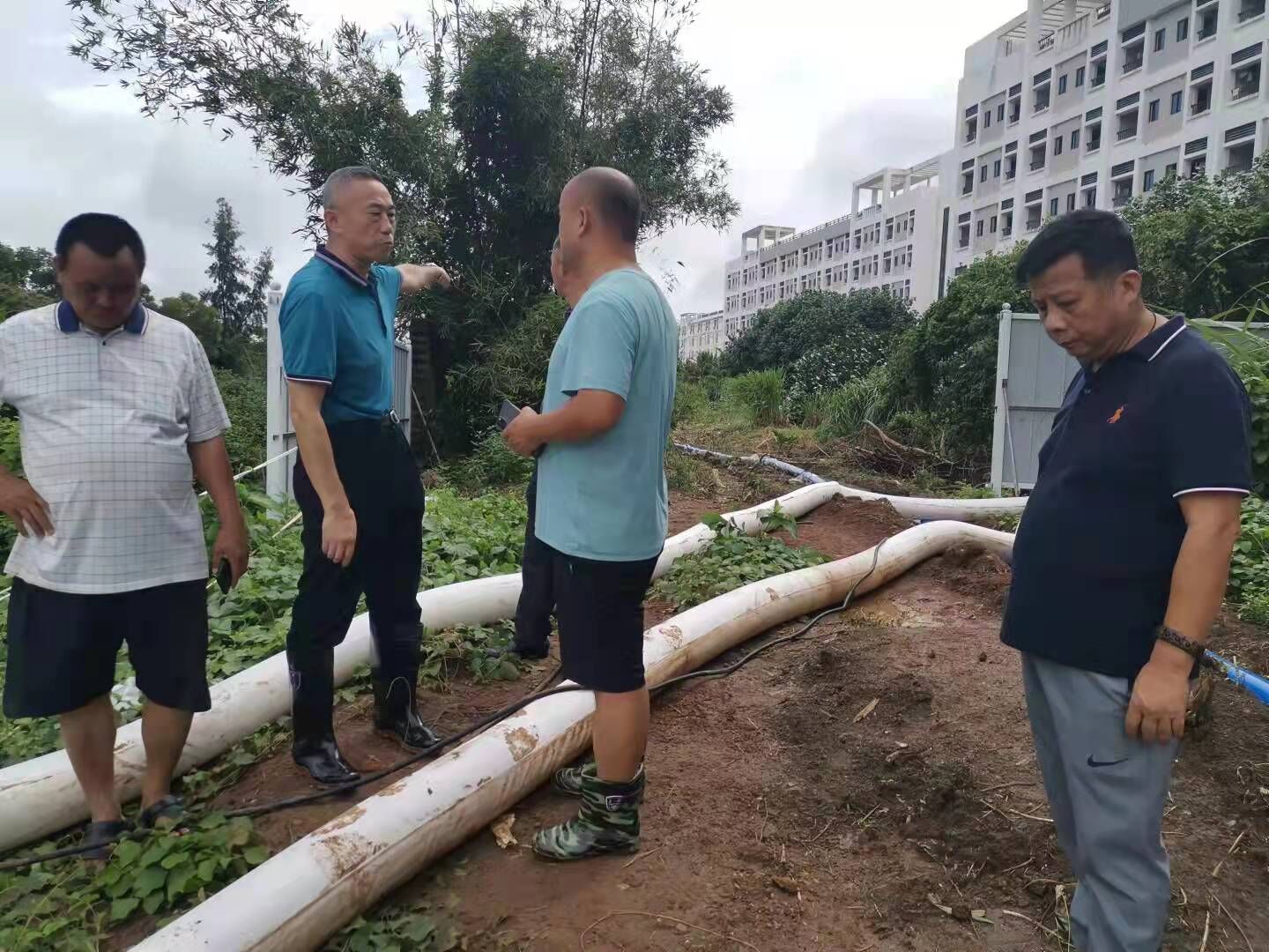 为师生办实事:桂林洋校区解决污水外溢问题