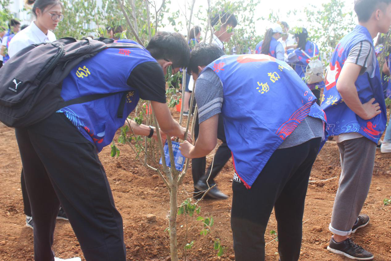 青年之声・绿色植树日，低碳我先行