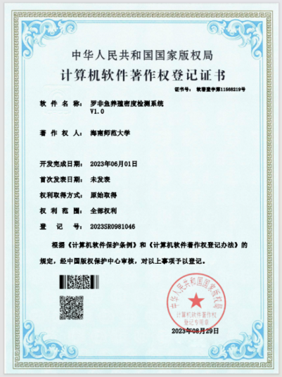 砥砺前行，创意无界——榕树基金项目“年年有鱼”项目经验分享