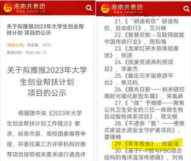 砥砺前行，创意无界——榕树基金项目“年年有鱼”项目经验分享