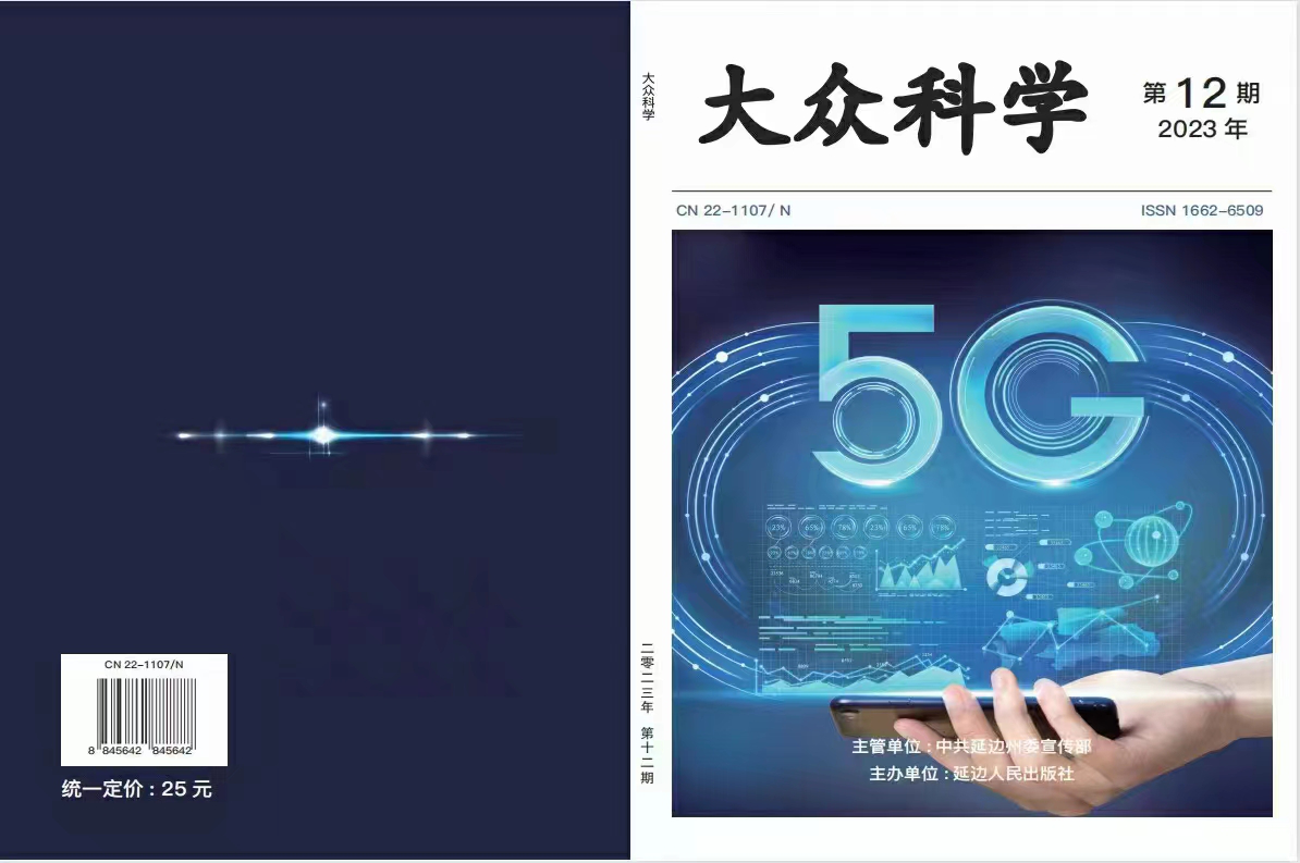 砥砺前行，创意无界——榕树基金项目“年年有鱼”项目经验分享