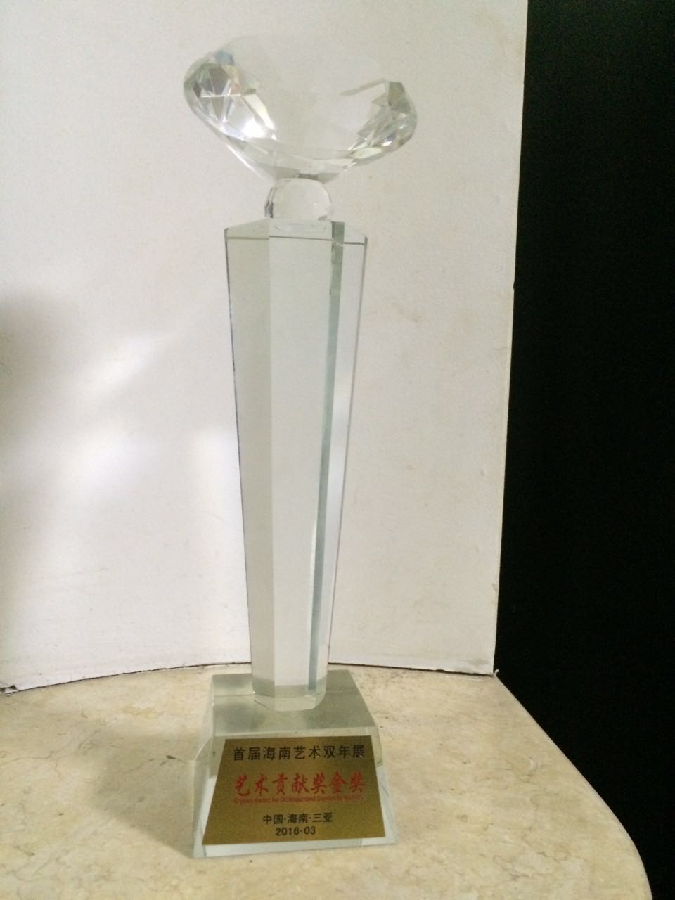 马杰教授获2016海南国际艺术双年展艺术贡献奖金奖
