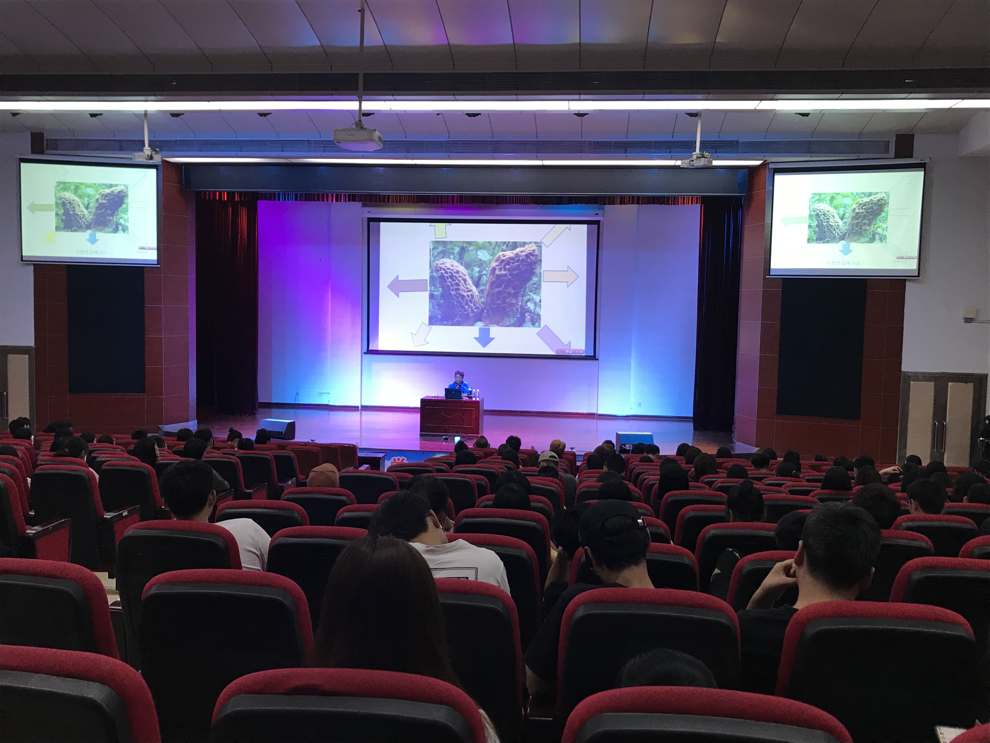 “从灵感到设计”——东华大学陈彬教授讲座在我院成功举办